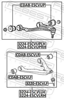 Bras de suspension Essieu avant inférieur barre oscillant transversal FEBEST