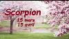 Scorpion 15 Mars Au 15 Avril 2022 Vie Sentimentale Motionnelle U0026 Pro
